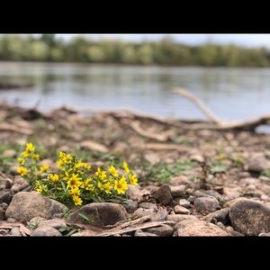 Meet your Posher, June